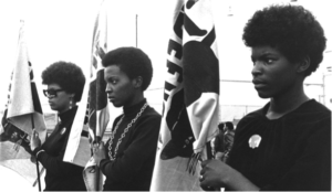 Black Panthers Against Patriarchy